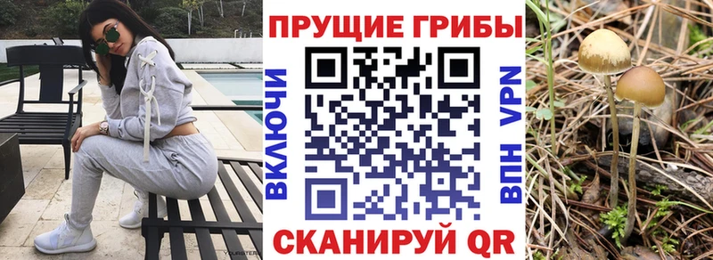 Псилоцибиновые грибы прущие грибы  купить  цена  Жуковка 